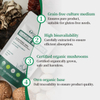 Immune Balance - Organic Mushroom Extract Bulk Powder