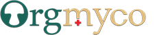 底部logo
