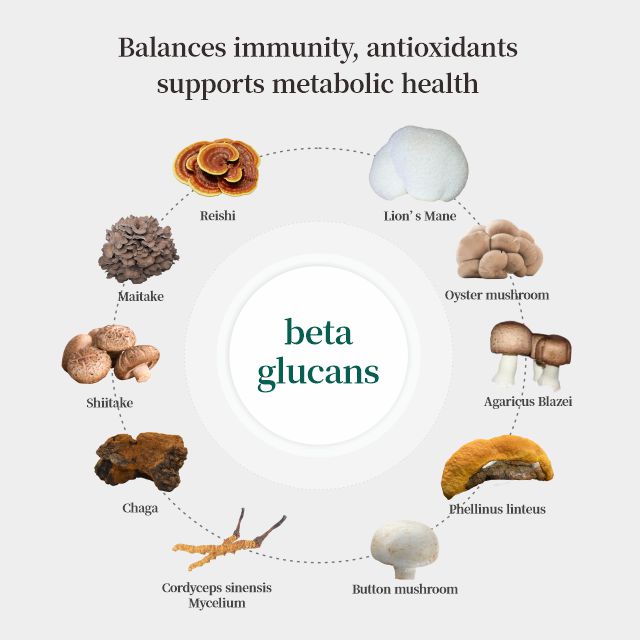 Immune Balance - Organic Mushroom Extract Bulk Powder