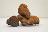 Chaga- Organic Mushroom Extract Capsule